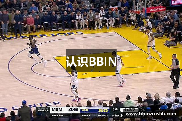 认识BBIN
